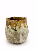 Ash mug 2618