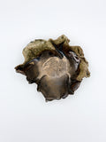 Ash bowl 2613